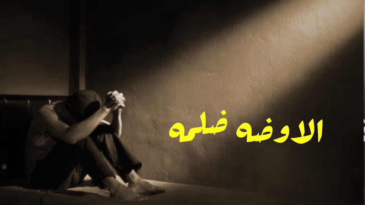 الاوضه ضلمه | تامر بدر