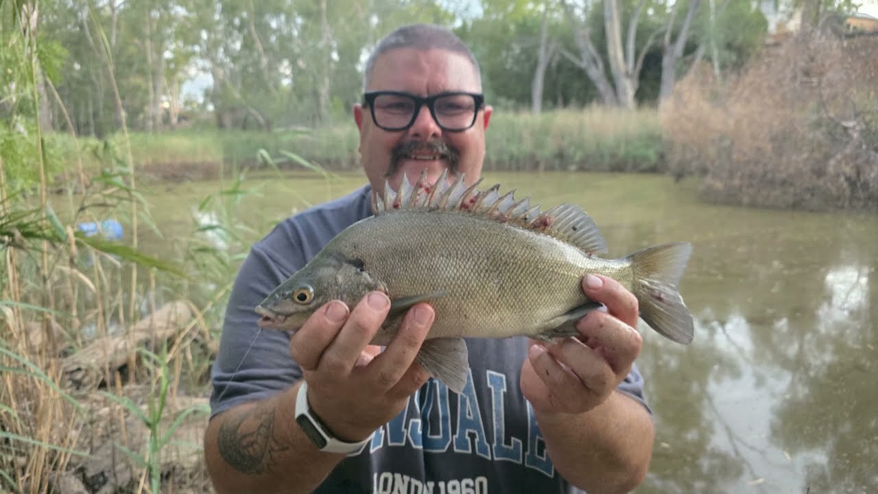 Unexpected Fishing Surprises AT Merriwa Park