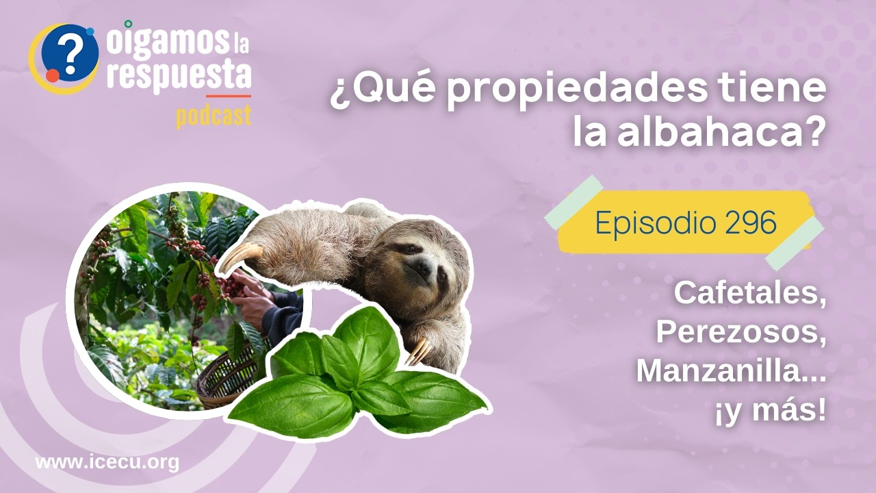Ep 296: Programa del Recuerdo