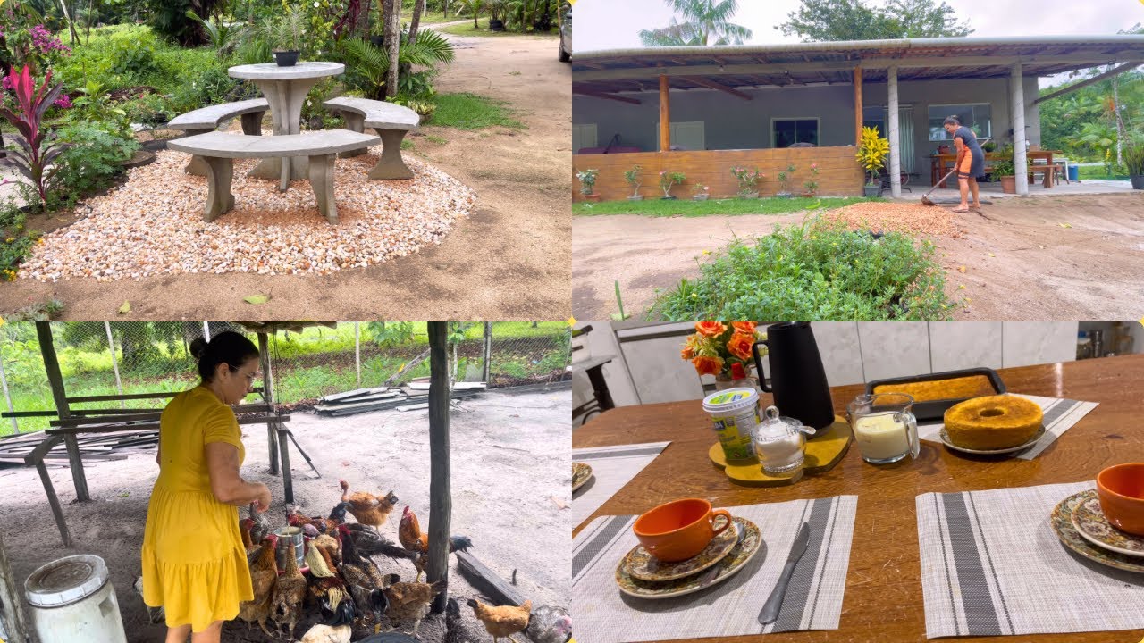 Nossa rotina no sítio: café, devocional + Almoço galinha caipira + jardim + Bolo de milho 🌽 ☕️