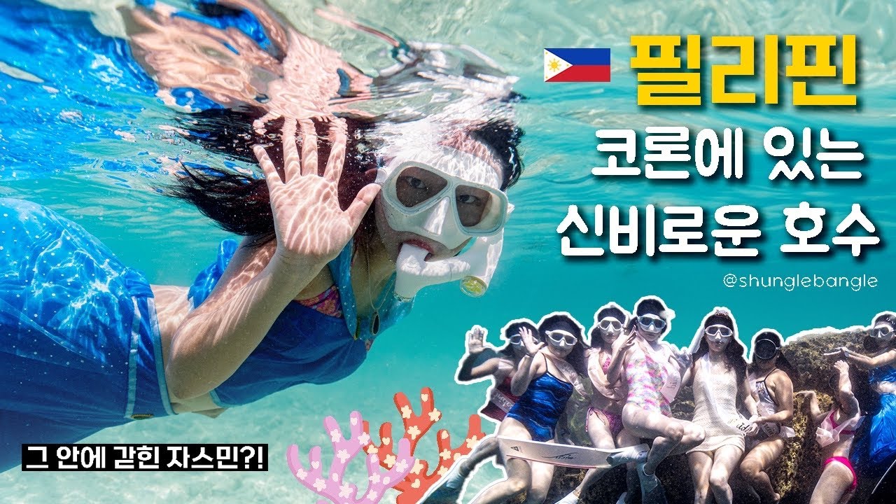 [4K] 필리핀 코론은 어디일까?🇵🇭 | 호수에서 즐기는 다이빙! 바라쿠다 레이크 구경할 사람 드루와🫶✨