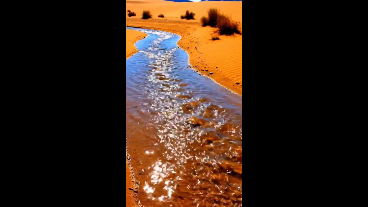 Enjoy HD Beautiful rain in Desert and Mountains