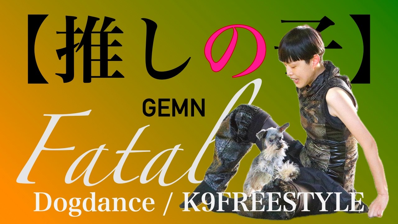 Dogdance / K9freestyle / FREESTYLE　「Fatal」 GEMN