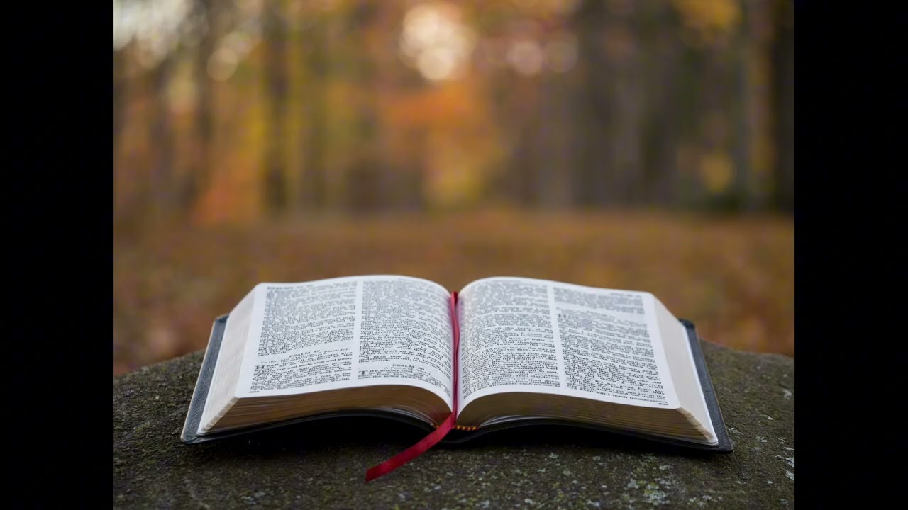 Luke 4:31-44: More than Staff, They are Souls (25/2/2026)
