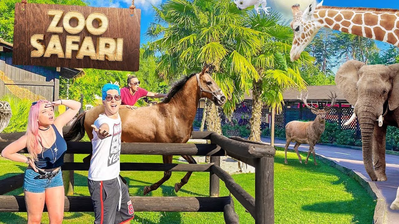 Allo ZOO SAFARI con la STREAM HOUSE (CI VOLEVANO CACCIARE)