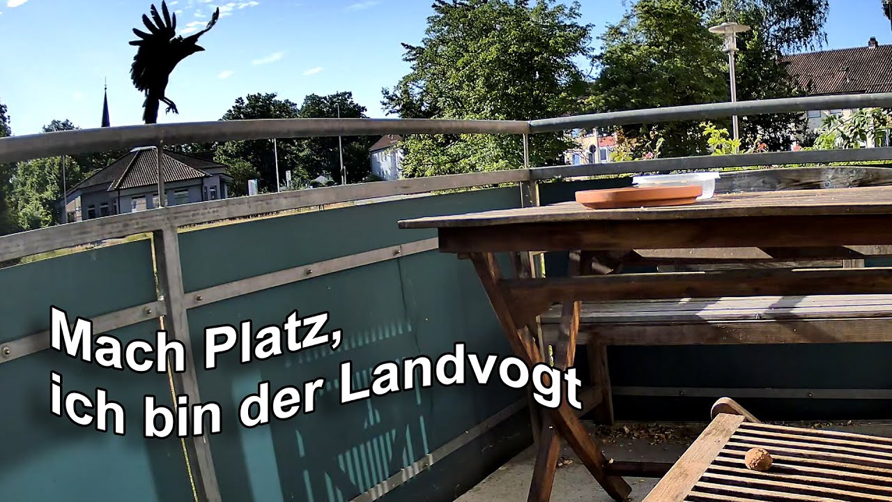 Mach Platz, ich bin der Landvogt