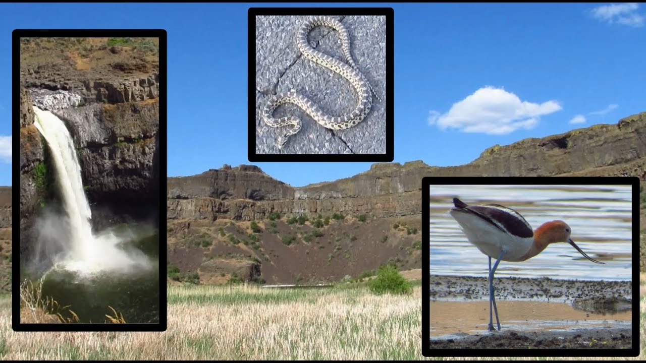 Travel Vlog: Visiting Ice Age Flood Sites in Central Washington