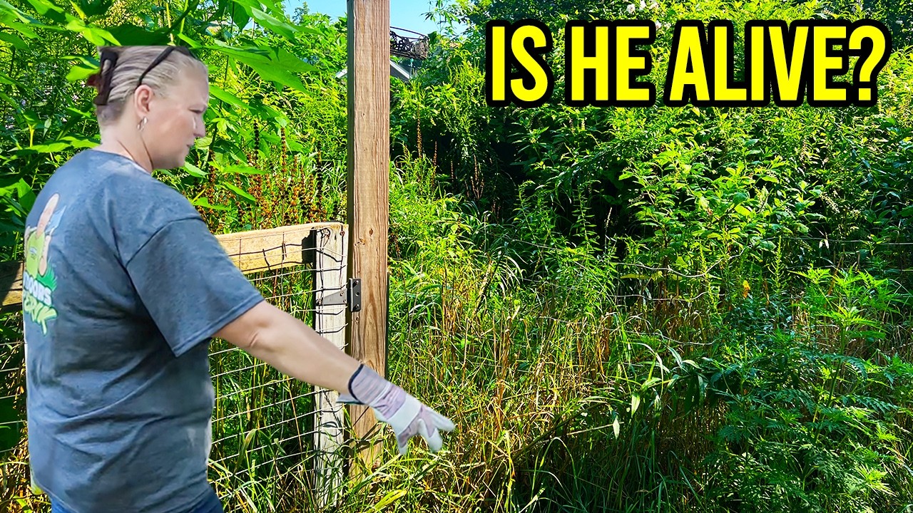 This Backyard is HIDING MORE than just weeds, Didn't EXPECT THIS..