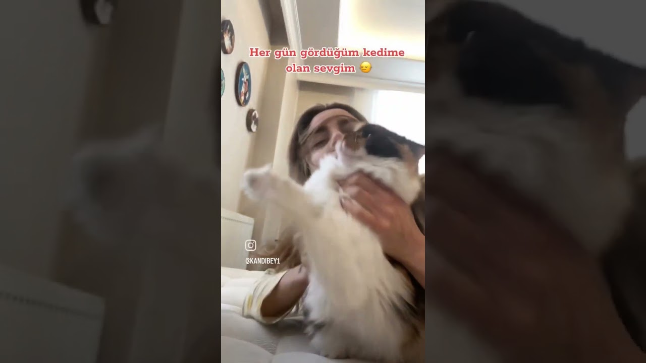 ANİDEN GELEN KEDİ SEVME İSTEĞİ 😆