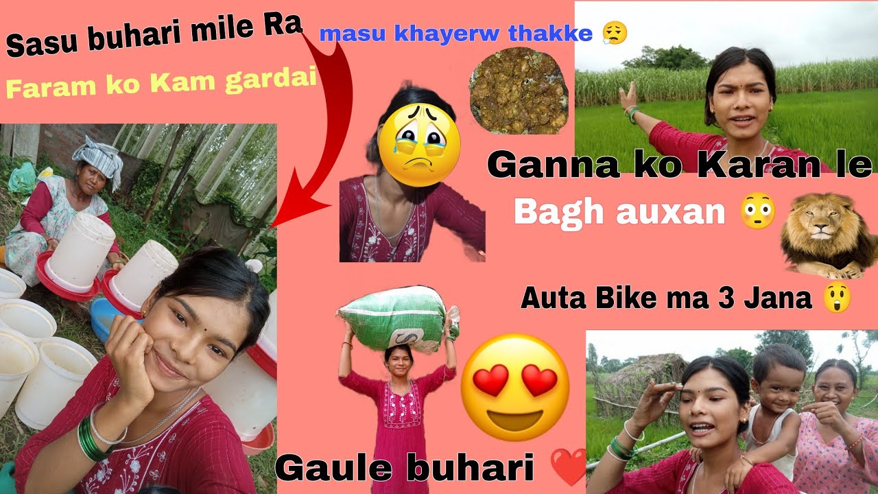 Sasu buhari mile Ra faram ko Kam gardai 🥰❤️//gaule buhari//#bhawanavlogs 