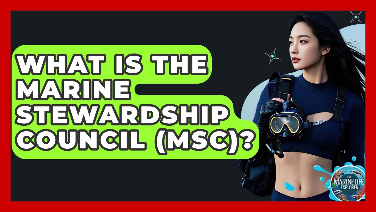 What Is The Marine Stewardship Council (MSC)? - The Marine Life Explorer