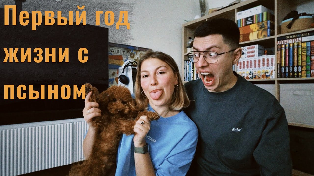 Наш опыт проживания кризисов и радостей в первый год жизни с собакой