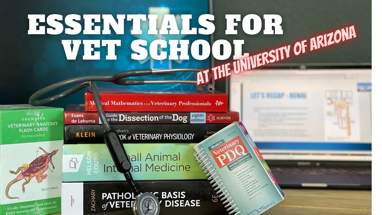 Essentials for the First Year of Vet School at the University of Arizona