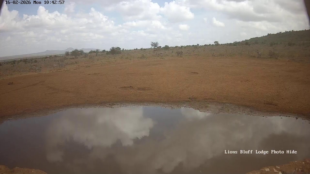 Lions Bluff Lodge Photo Hide - Live Stream