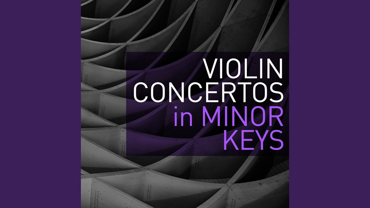 Violin Concerto No. 2 in C-Sharp Minor, Op. 129: I. Moderato