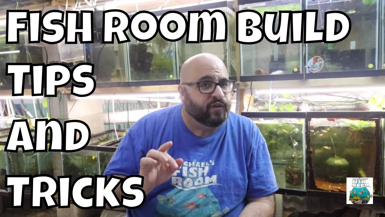 Tips and Tricks for Building a Fish Room
