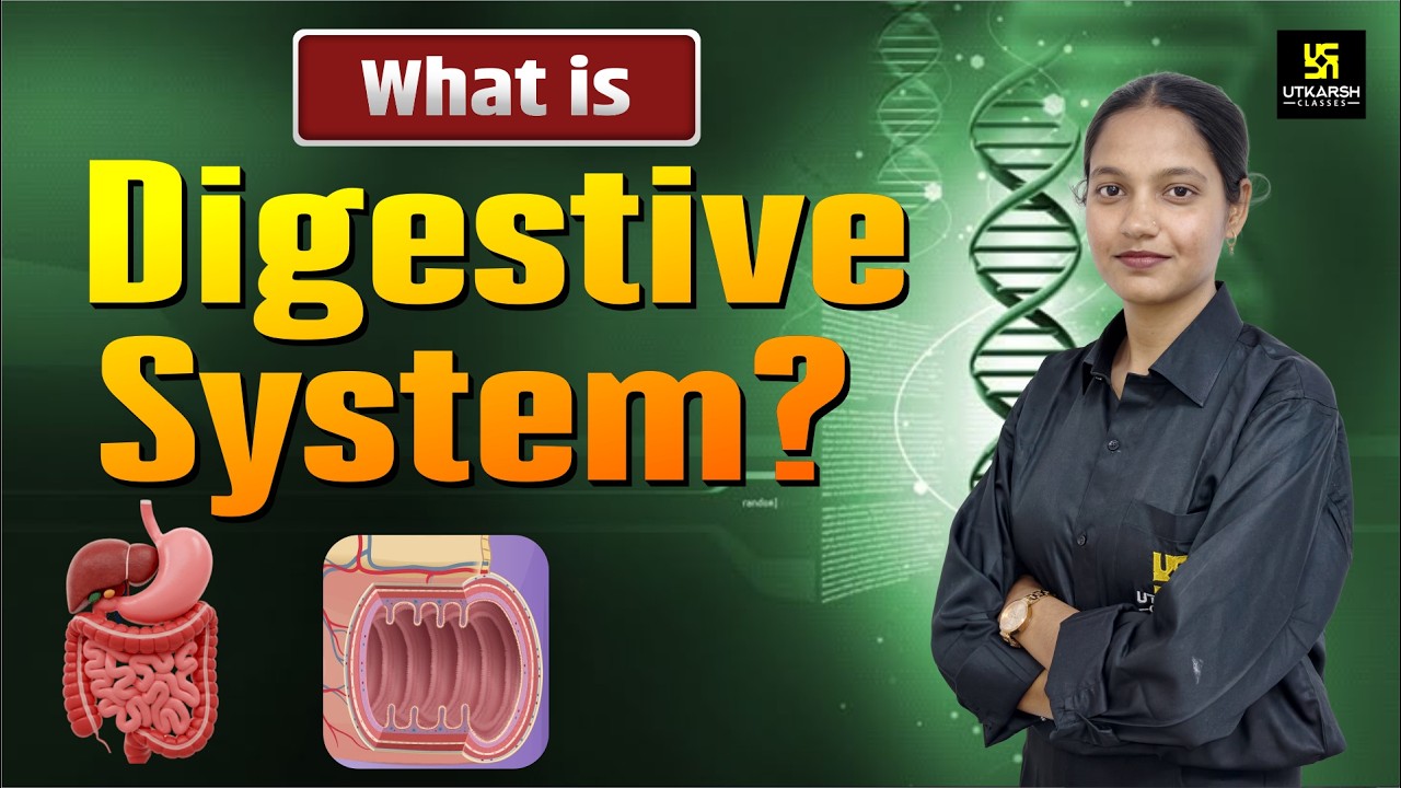Digestive System One Shot | GI Track, Accessory Organs, Process and Function | BSc Nursing Utkarsh