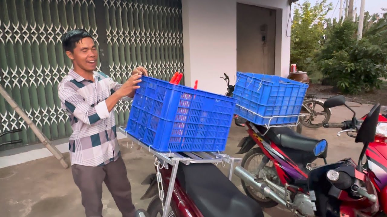 Ghi Lại Hành Trình Con Đường Thúy Liễu Chuẩn Bị Khởi Hành…