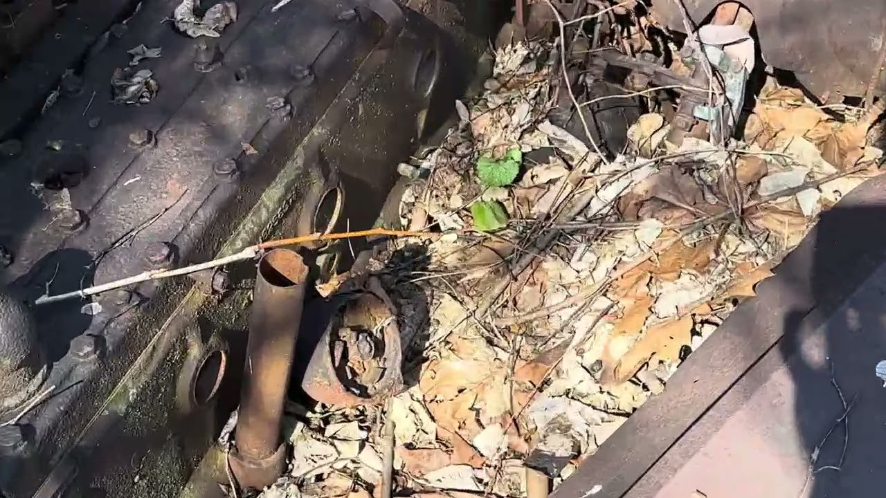 BARN FIND? Did I Find the Worlds Oldest Car?! 