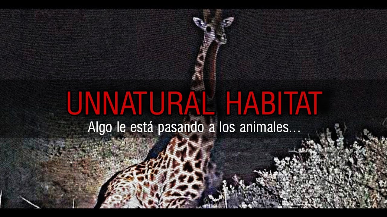 Algo le está pasando a los animales...[Unnatural Habitat]