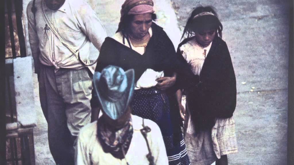 COLOR FRESSON (SALVADOR ALBI&Ntilde;ANA SOBRE BERNARD PLOSSU)
