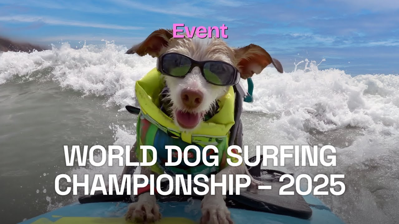 World Dog Surfing Championship 2025, Pacifica, California | 4K HDR Event