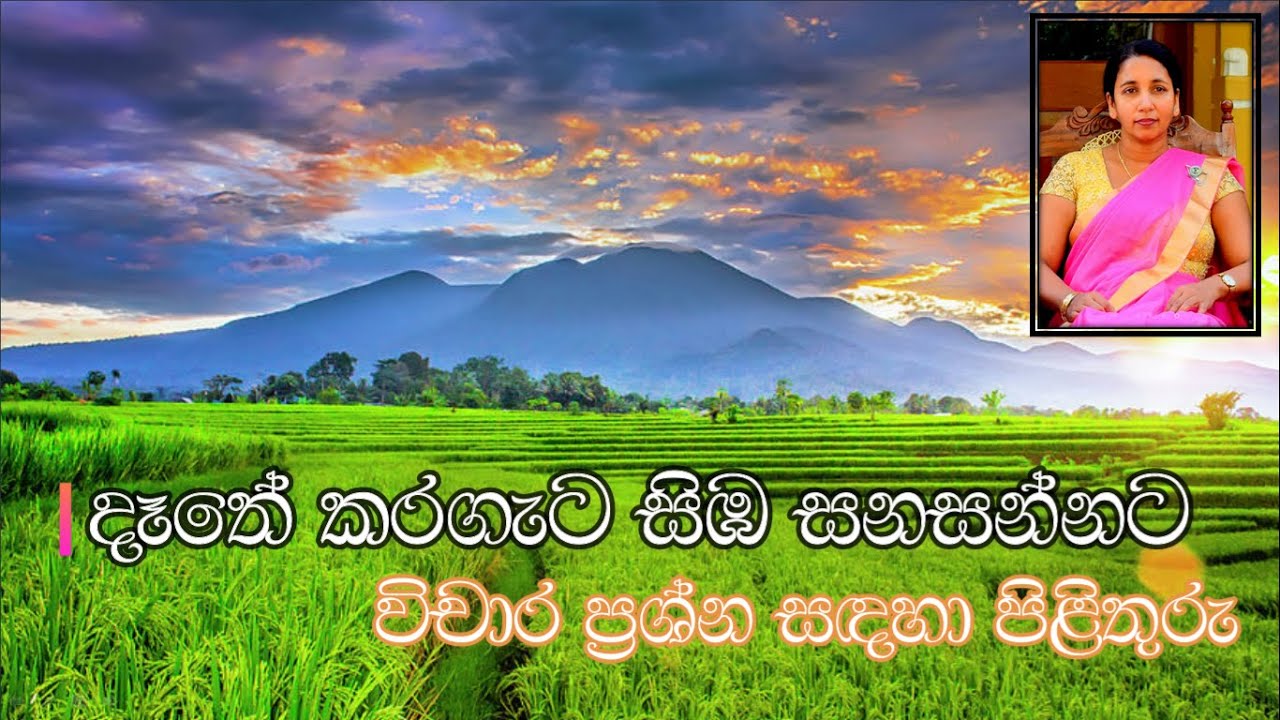 දෑතේ කරගැට සිඹ සනසන්නට - විචාර ප්‍රශ්න සඳහා පිළිතුරු