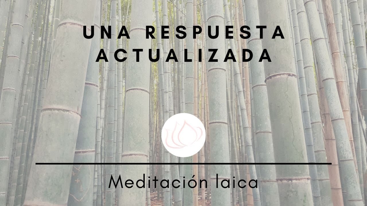 ¿Qué es la iluminación? Una respuesta desde la ciencia
