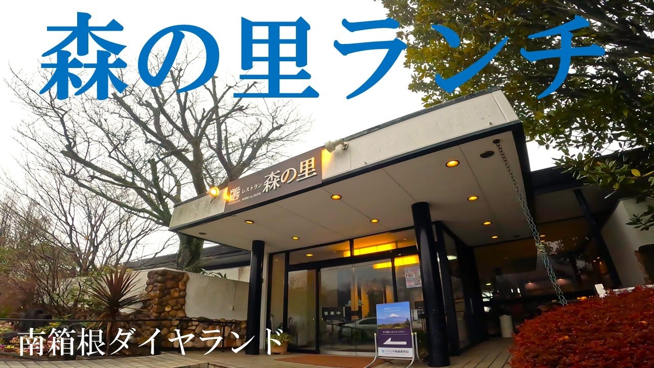【南箱根ダイヤランド】森の里ランチ（大雪、大丈夫でしたか？）