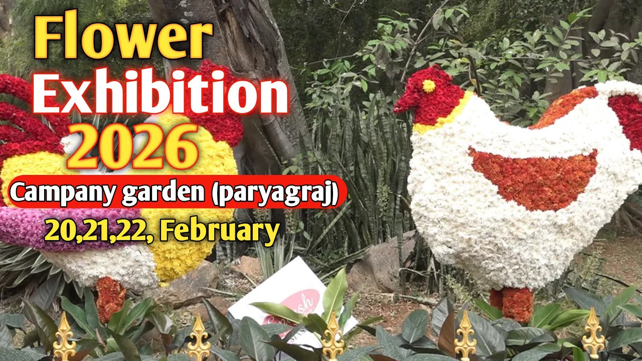Beautiful Flower Show in Prayagraj 🌹 | Full Garden Vlog | Company garden #chandrashekharazadpark 
