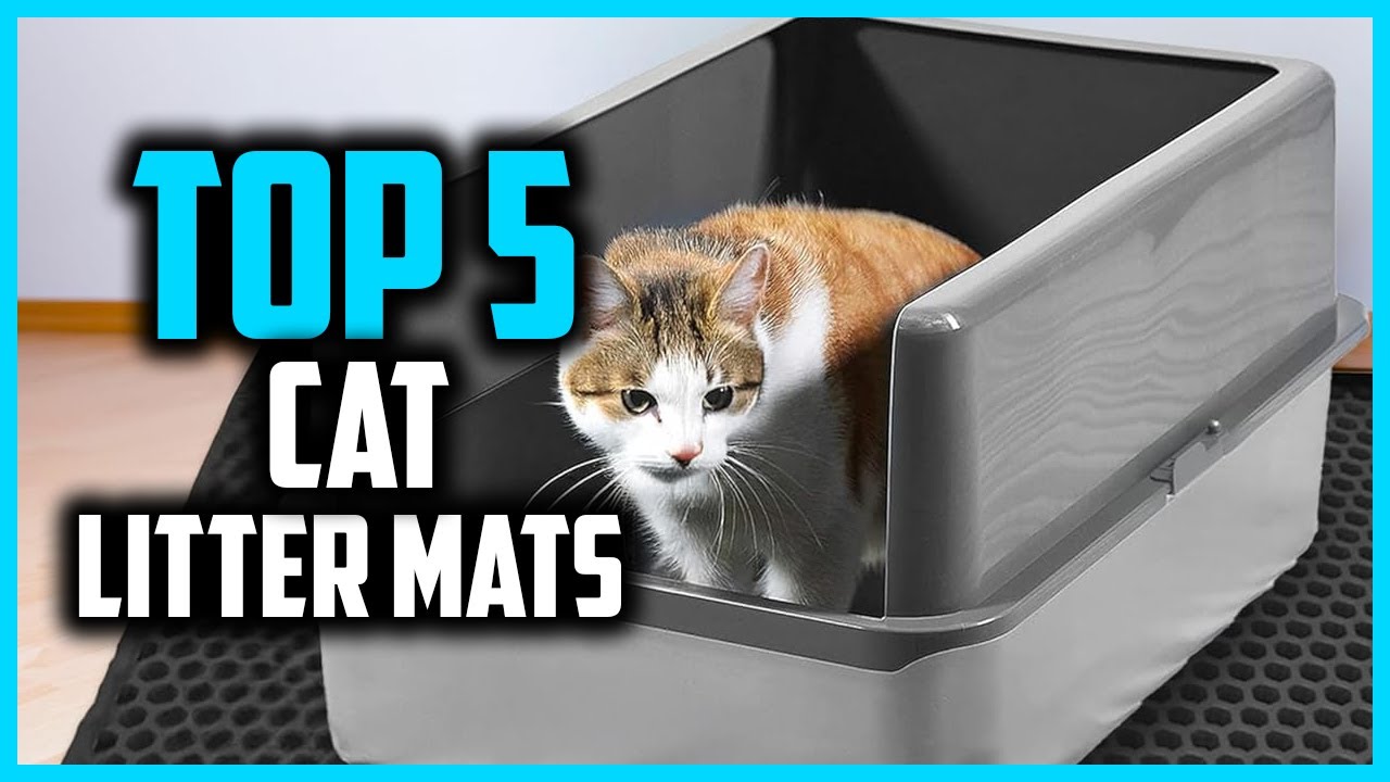 ✅ Top 5 Best Cat Litter Mats of 2025