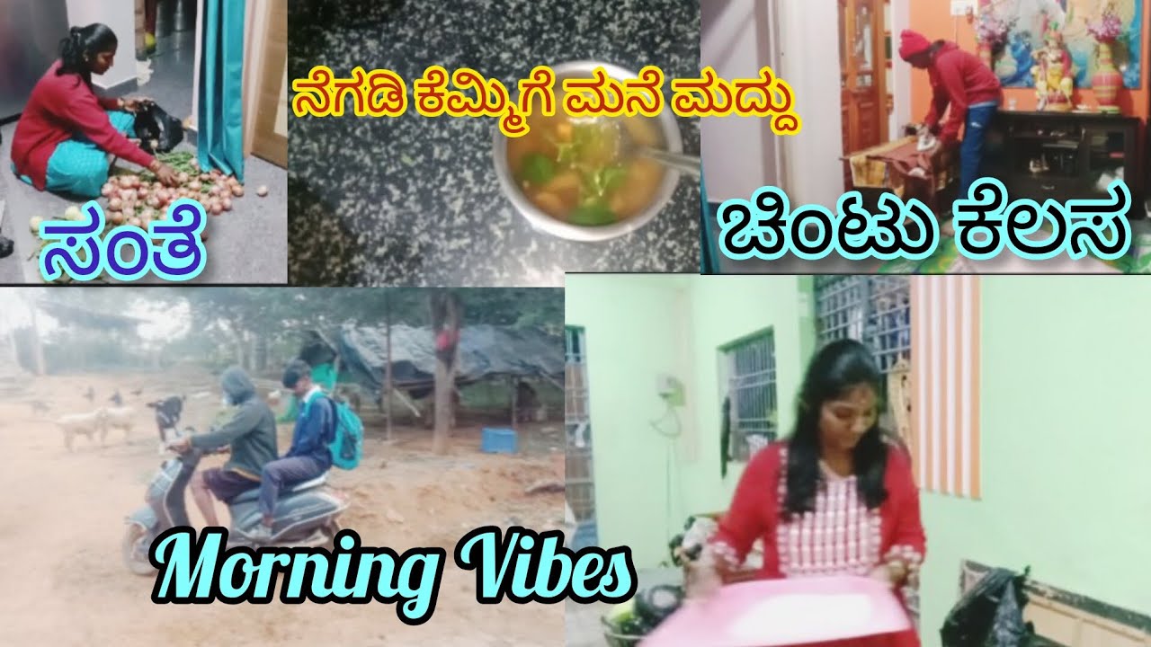 2Days Vlog /Morning Vibes /Manjusri Village Vlogs...