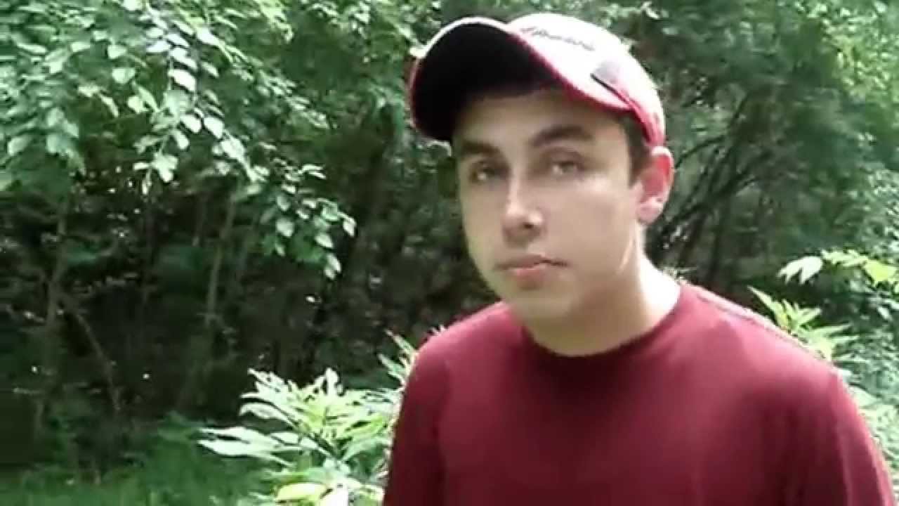 Brief Guide to Grasses