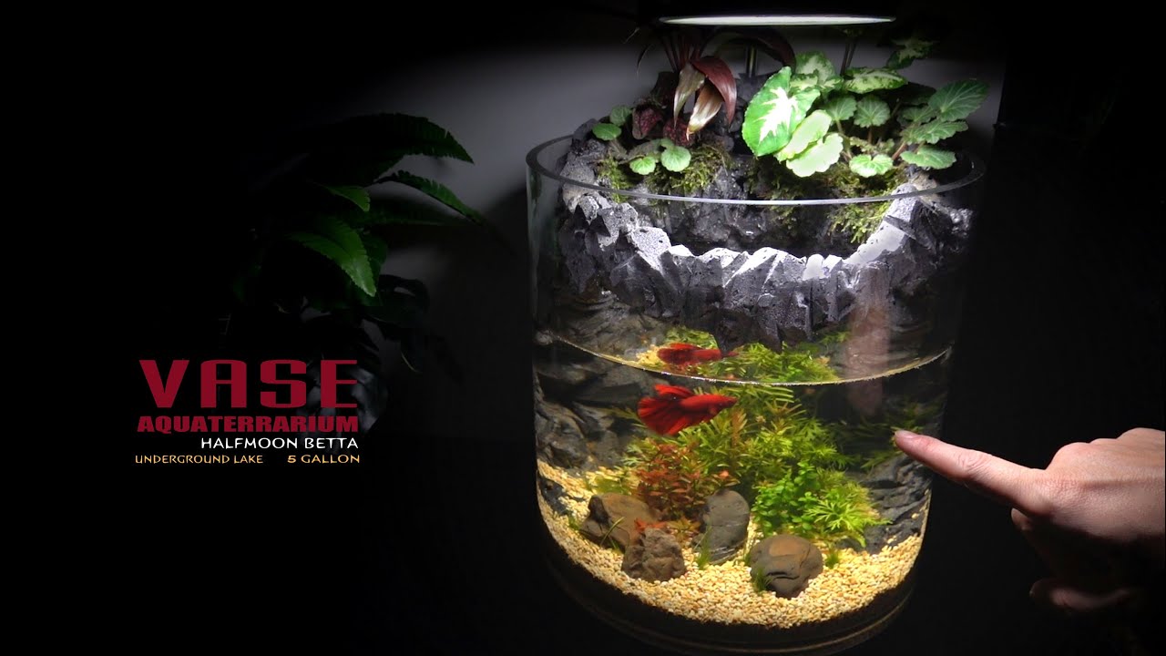 Tabletop Vase Betta Waterfall aquarium l underground lake l Aquascape No Co2,No Filter,No Ferts