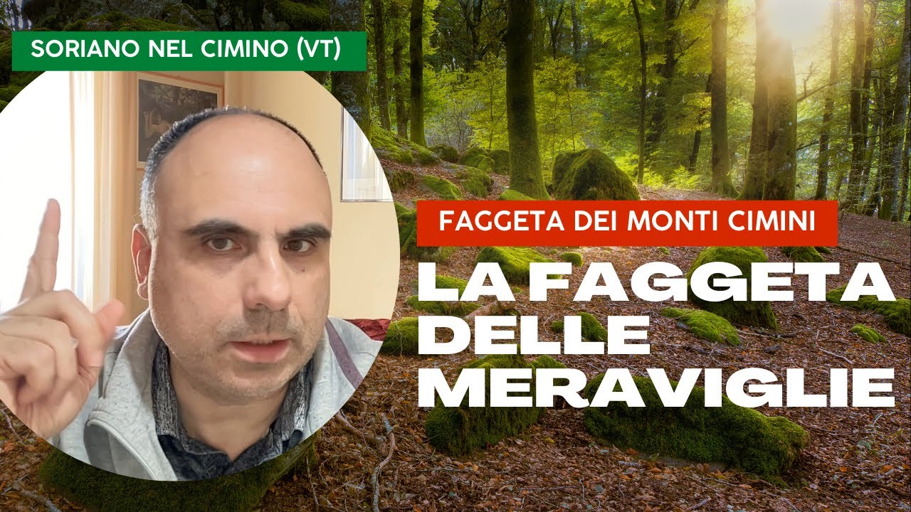Racconti fotografici. La faggeta delle meraviglie: faggeta del Monti Cimini (VT) [English subtitles]