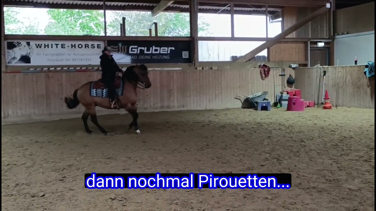 Unterricht mit Desmond O'Brien
