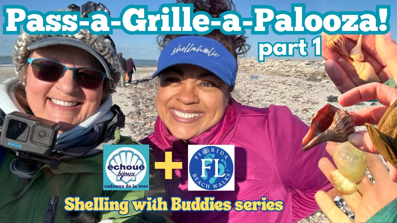 Brrr! SHELL A- PALOOZA with Roxann Pass A Grille part 1