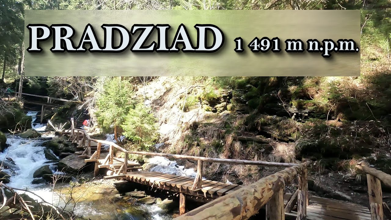 🇨🇿 Pradziad 1491 m n.p.m. - najwyższy szczyt w paśmie górskim Wysokiego Jesionika.
