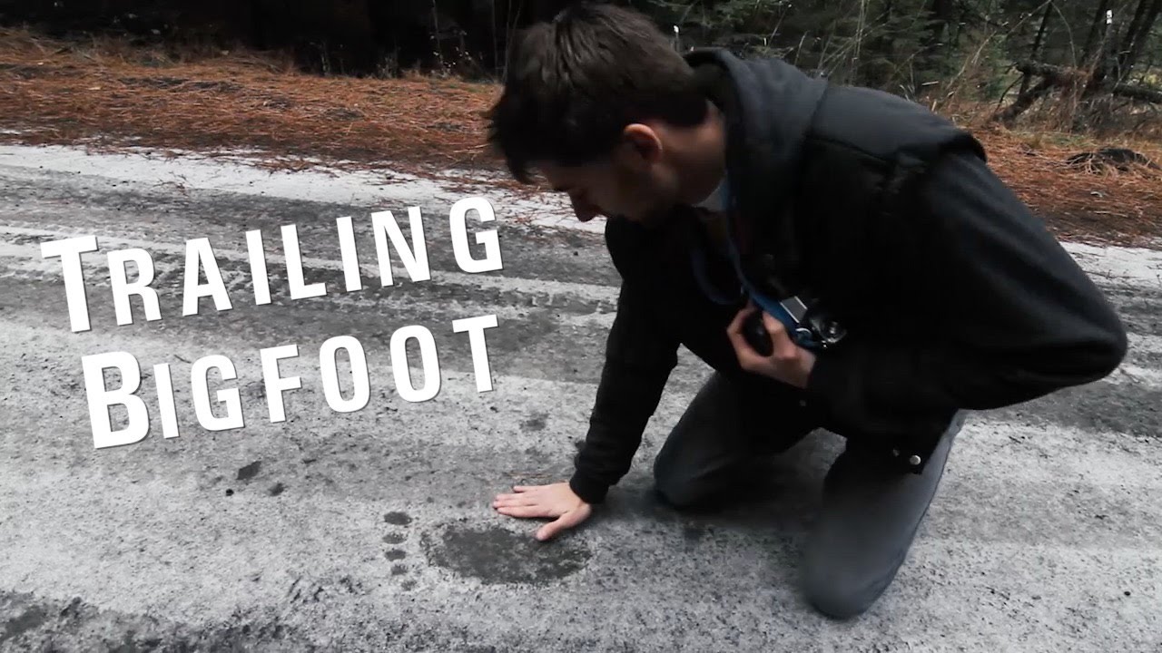 Trailing Bigfoot