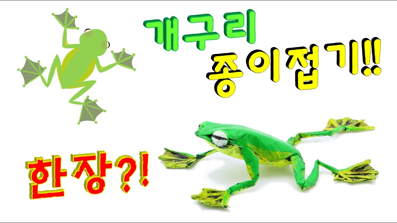 종이접기 월리스 날개구리 개구리 종이접기 !!  / Wallace's Flying Frog time-lapse 김영웅