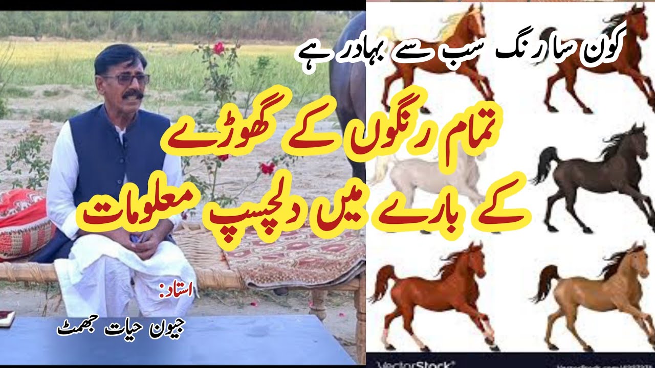 Ustad Jeeven hayat jhamat||  All Colors horse discission || تمام رنگ کے گھوڑوں کی خوبیاں خامیاں