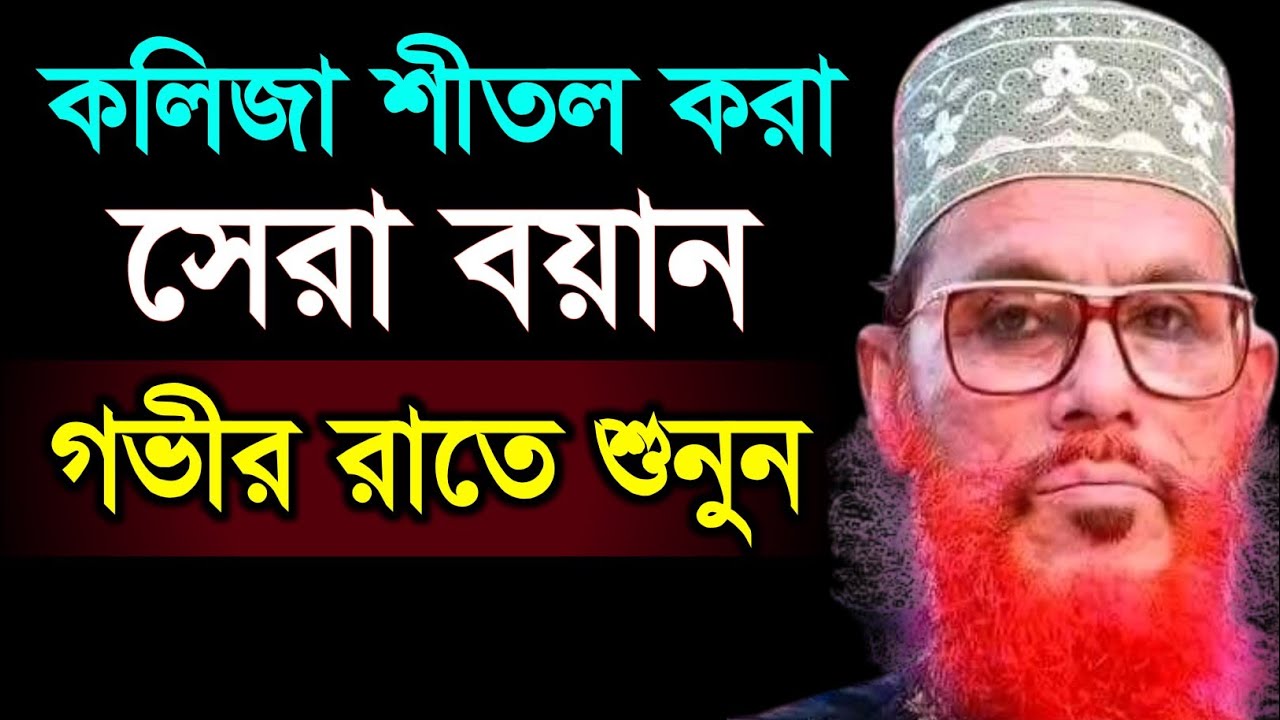 কলিজা শীতল করা সেরা বয়ান গভীর রাতে শুনুন | Allama Delwar Hossain saidi waz | bangla waz mahfil