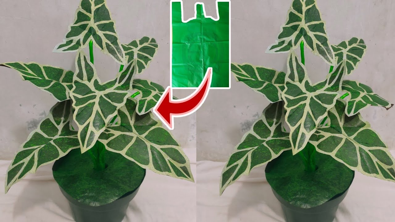 Как сделать цветок Alocasia из полиэтиленового пакета | Цветочные ремесла