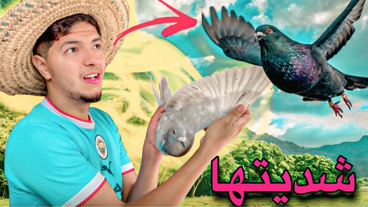 شديت دكر الحمام زاجل 🏹 توليع صباحية في الحمام 😂
