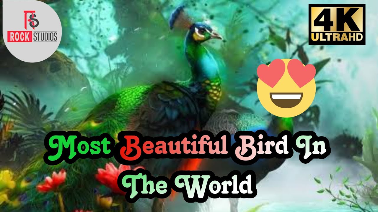 Most Beautiful Bird In The World | Peacock | Dancing Peacock | Sweet Voice😍