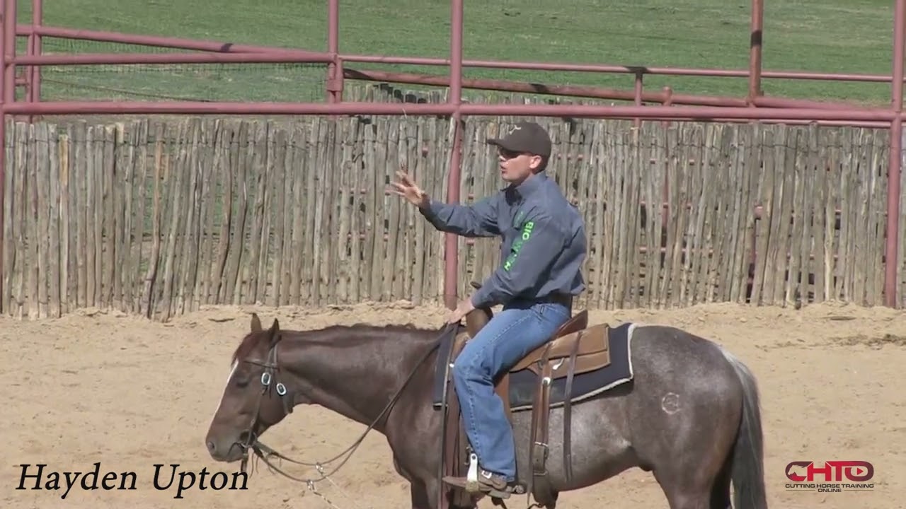 How To Develop Connection With The Cow On Your 2yr Olds