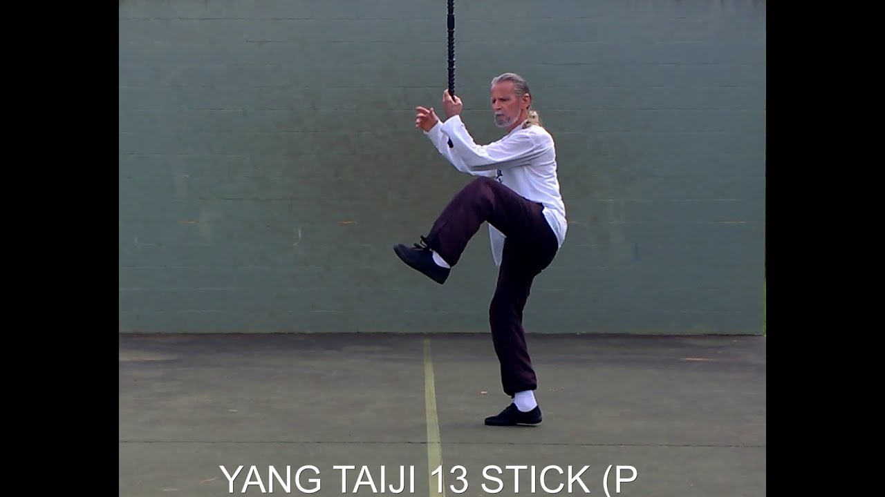 TAI CHI 13 PAN. Short Stick Routine.