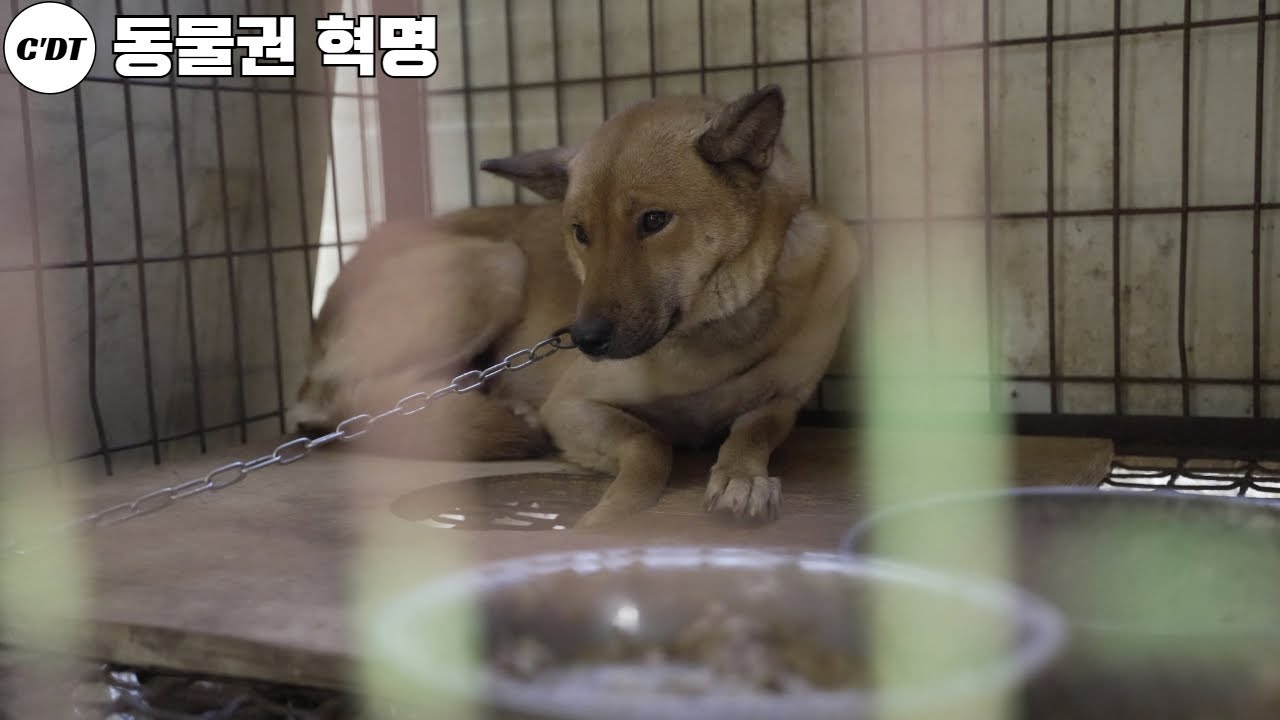 철창 너머의 기억, 그리고 변화의 시작