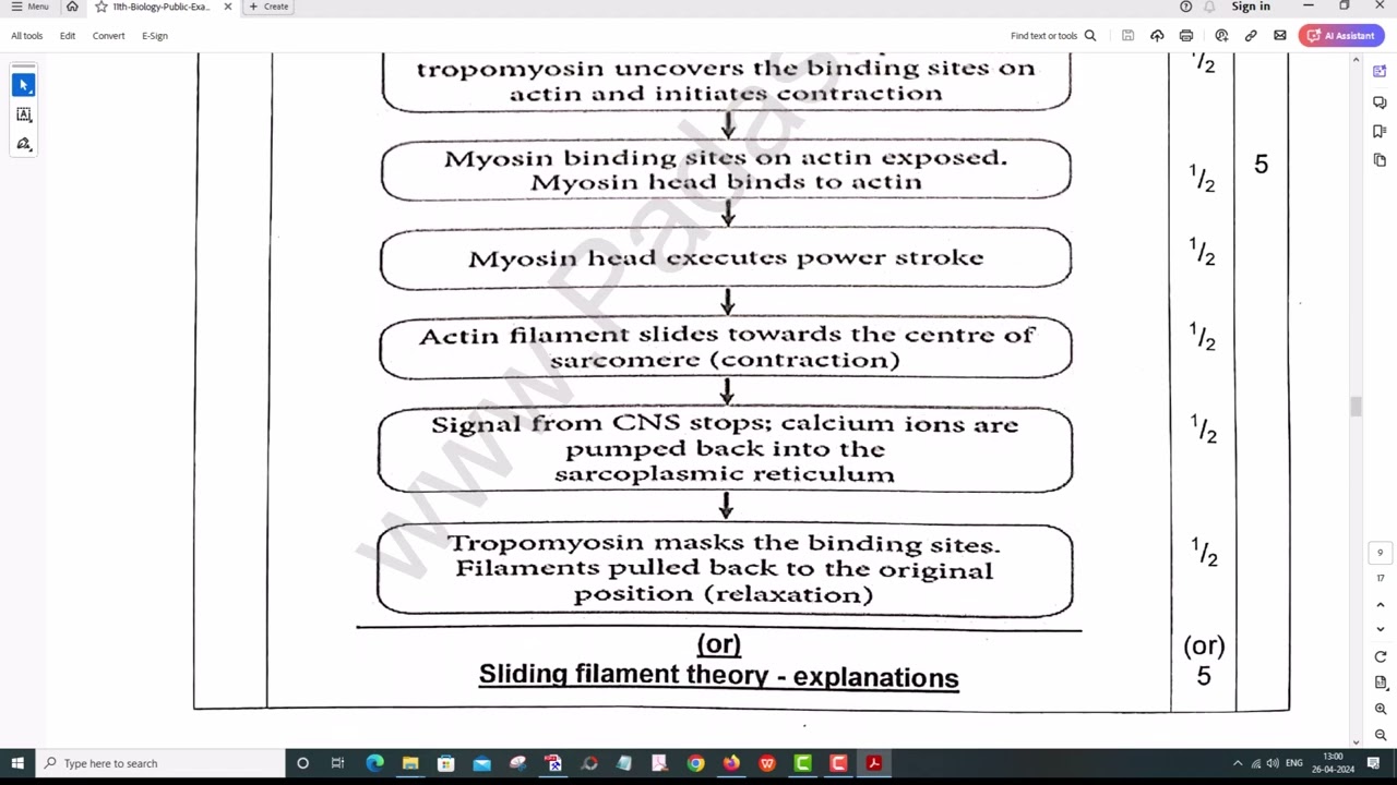 11th Biology   Public Exam March 2024   Official Answer key   English Medium
