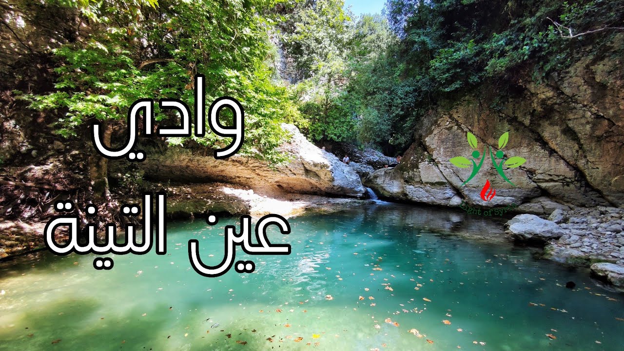 وادي عين التينة | اللاذقية | سورية 💙